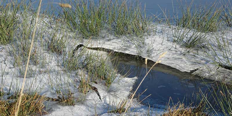 Winter ice